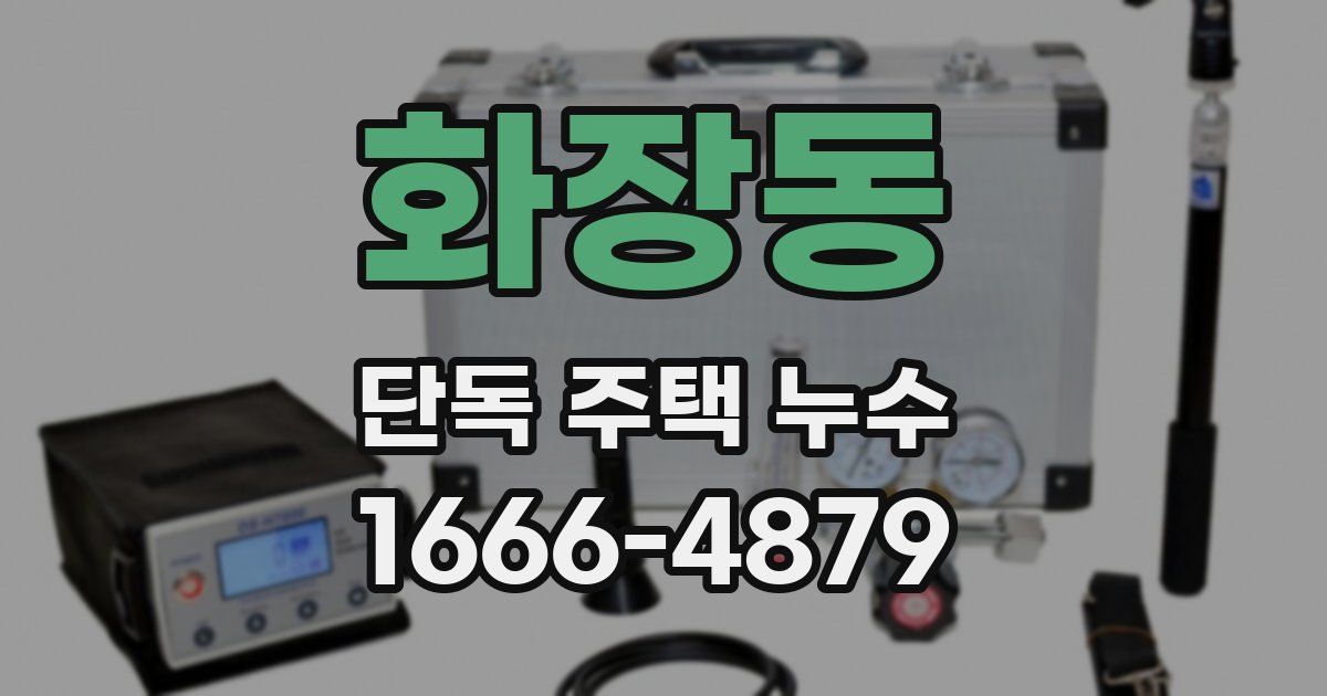 화장동 단독 주택 누수