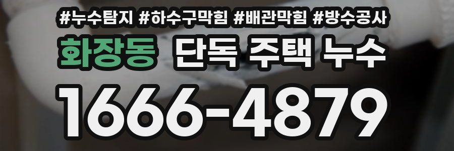 화장동 단독 주택 누수