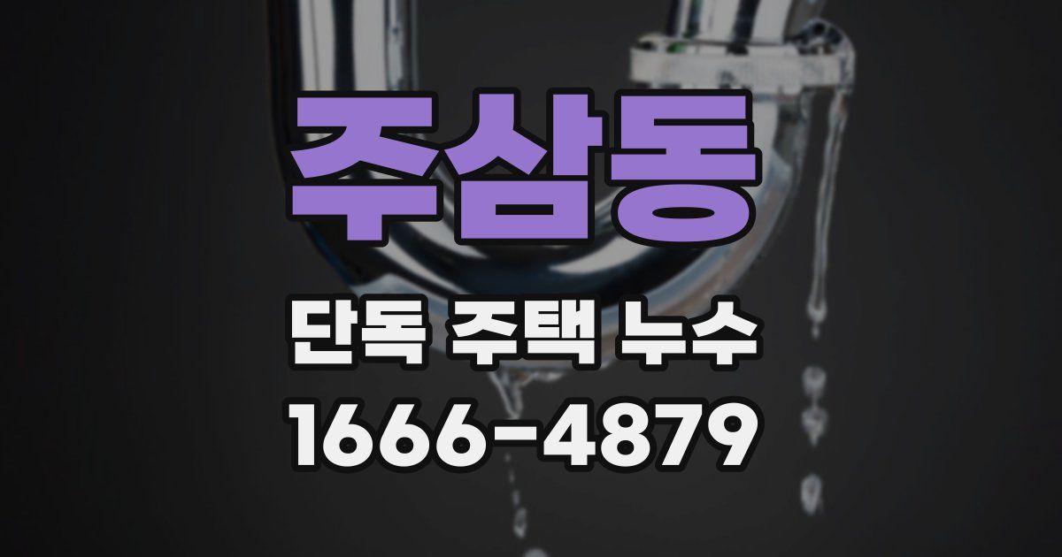 주삼동 단독 주택 누수