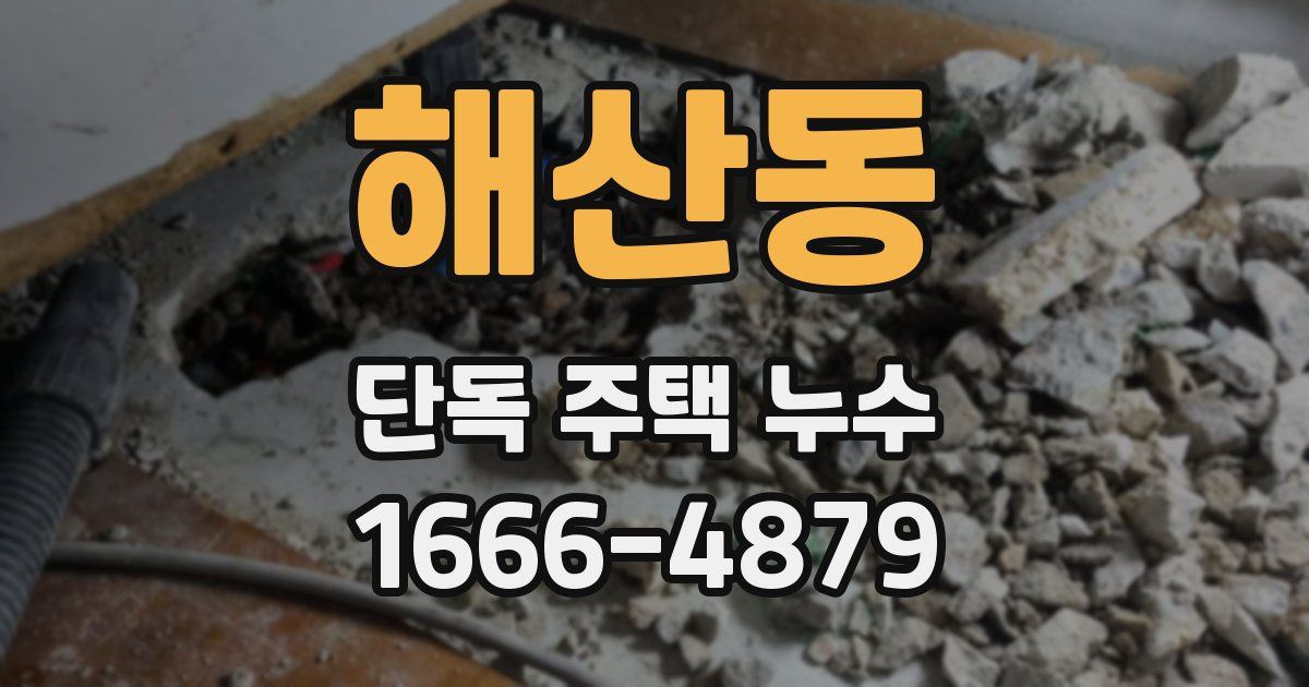 해산동 단독 주택 누수