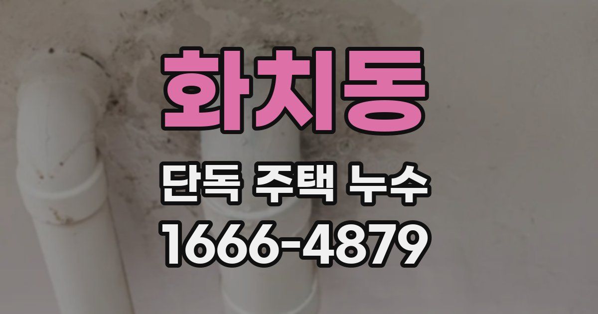 화치동 단독 주택 누수