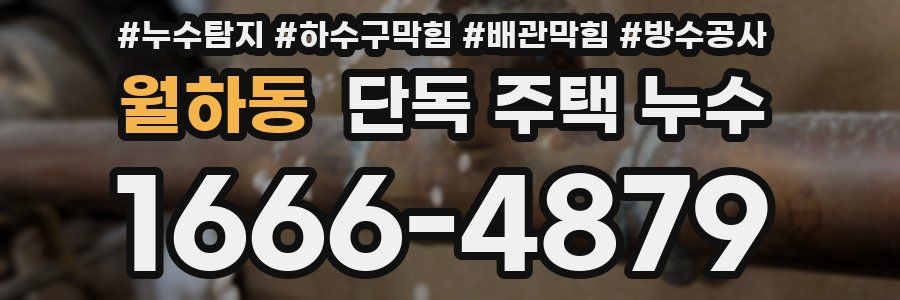 월하동 단독 주택 누수