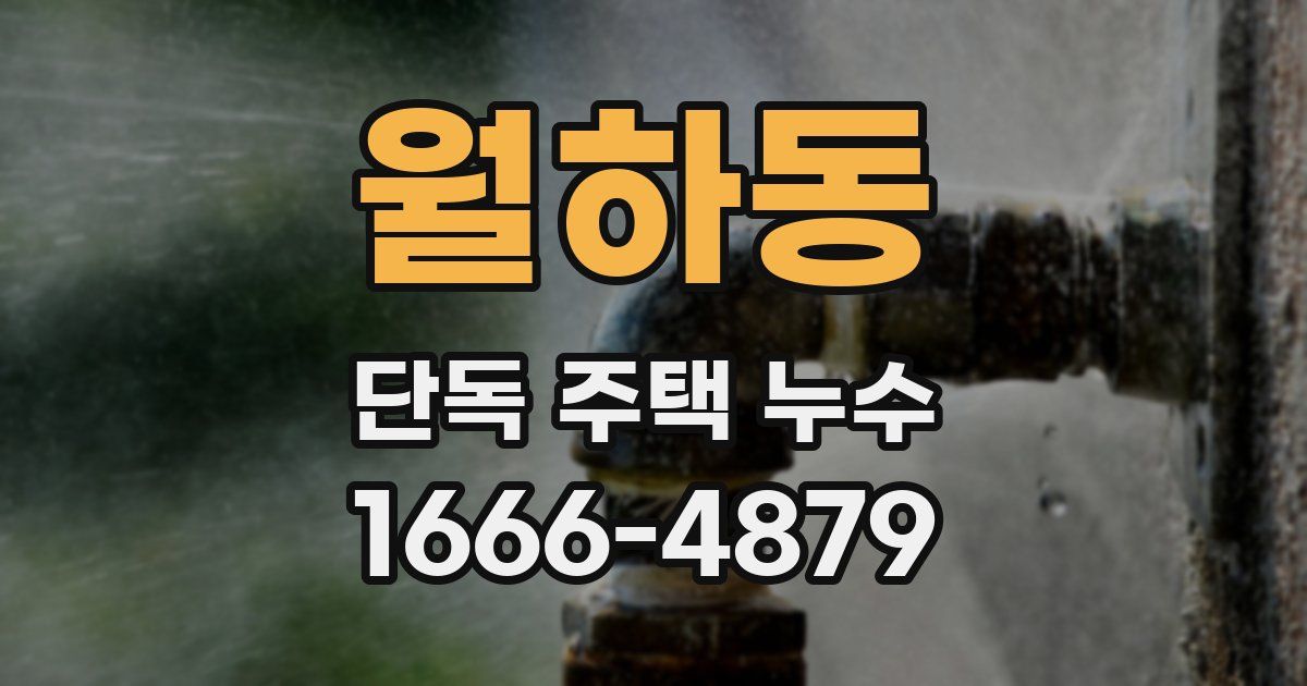 월하동 단독 주택 누수