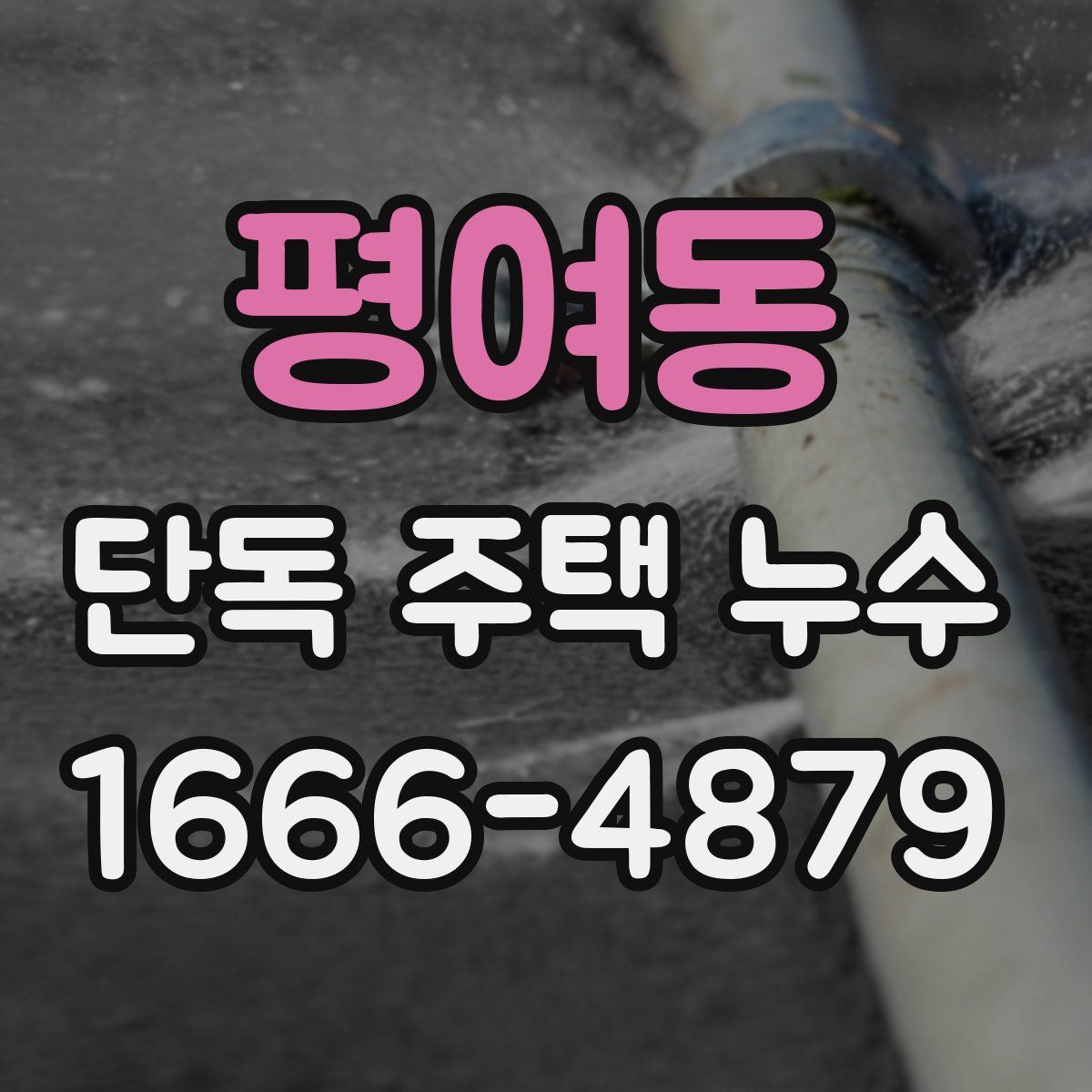 평여동 단독 주택 누수