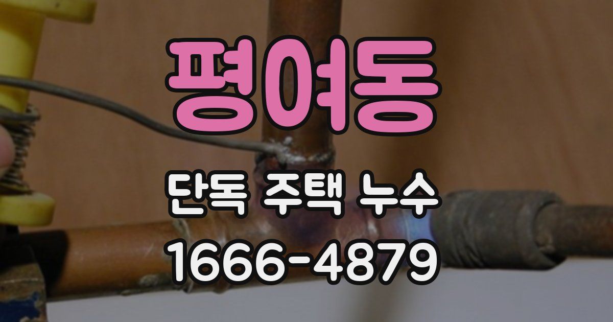평여동 단독 주택 누수