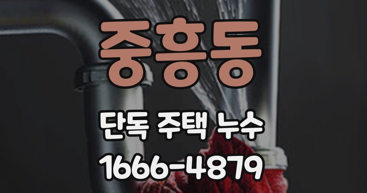 중흥동 단독 주택 누수