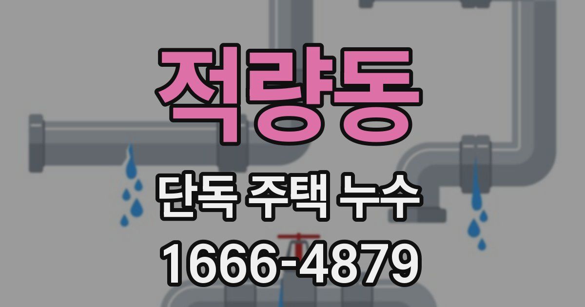 적량동 단독 주택 누수