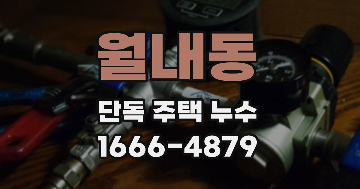 월내동 단독 주택 누수