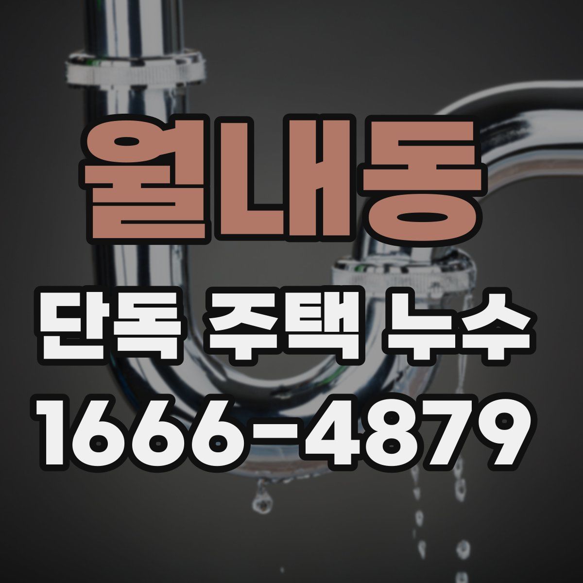 월내동 단독 주택 누수