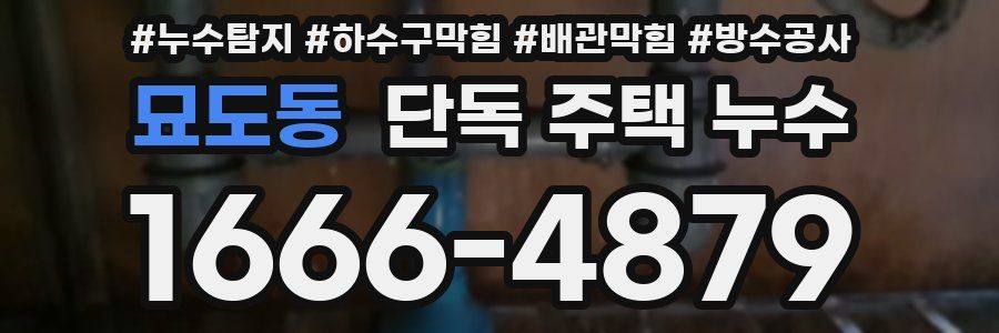 묘도동 단독 주택 누수