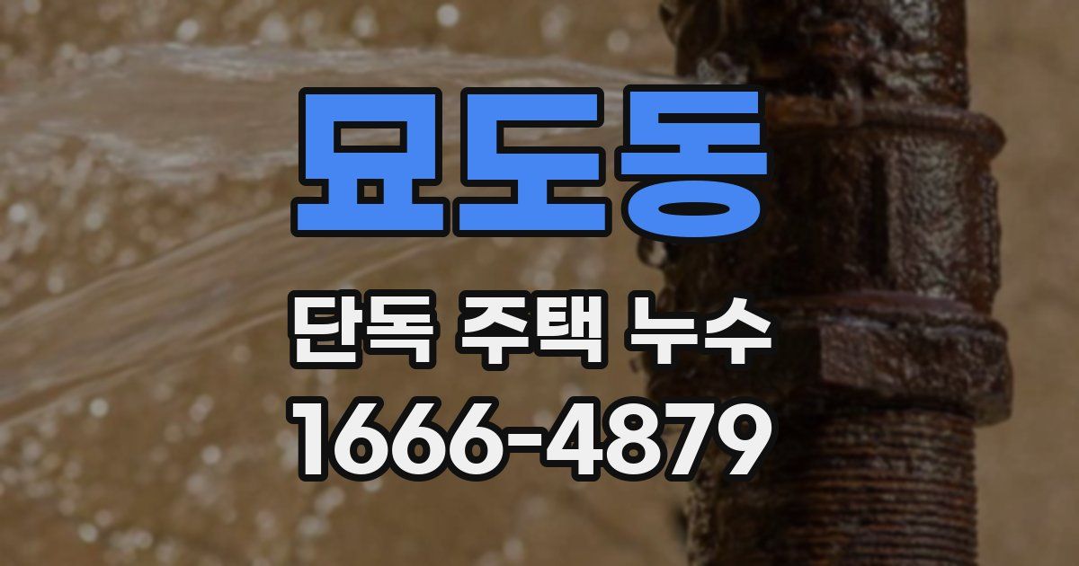 묘도동 단독 주택 누수