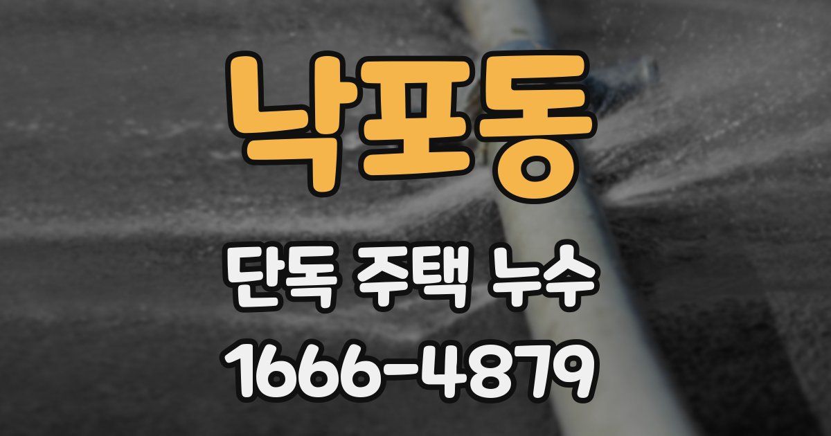 낙포동 단독 주택 누수