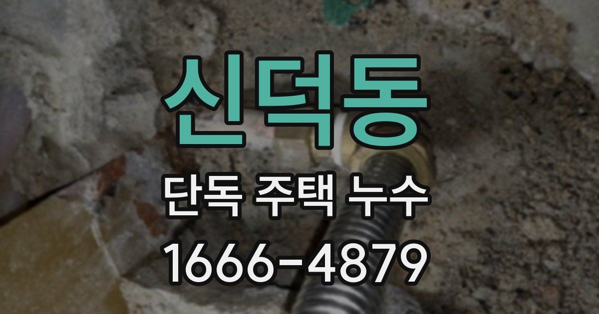신덕동 단독 주택 누수