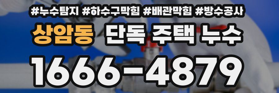 상암동 단독 주택 누수