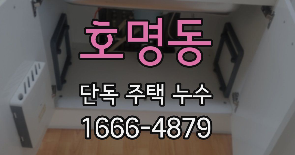 호명동 단독 주택 누수