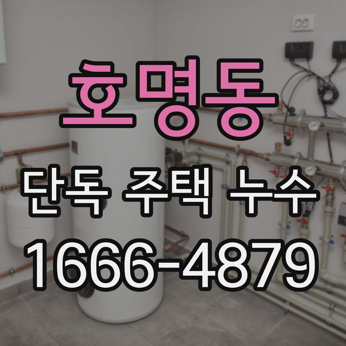 호명동 단독 주택 누수