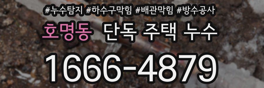 호명동 단독 주택 누수