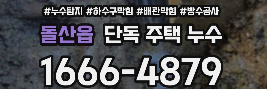 돌산읍 단독 주택 누수