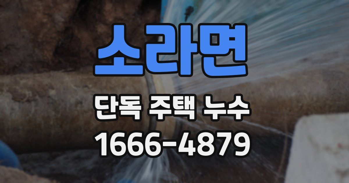 소라면 단독 주택 누수