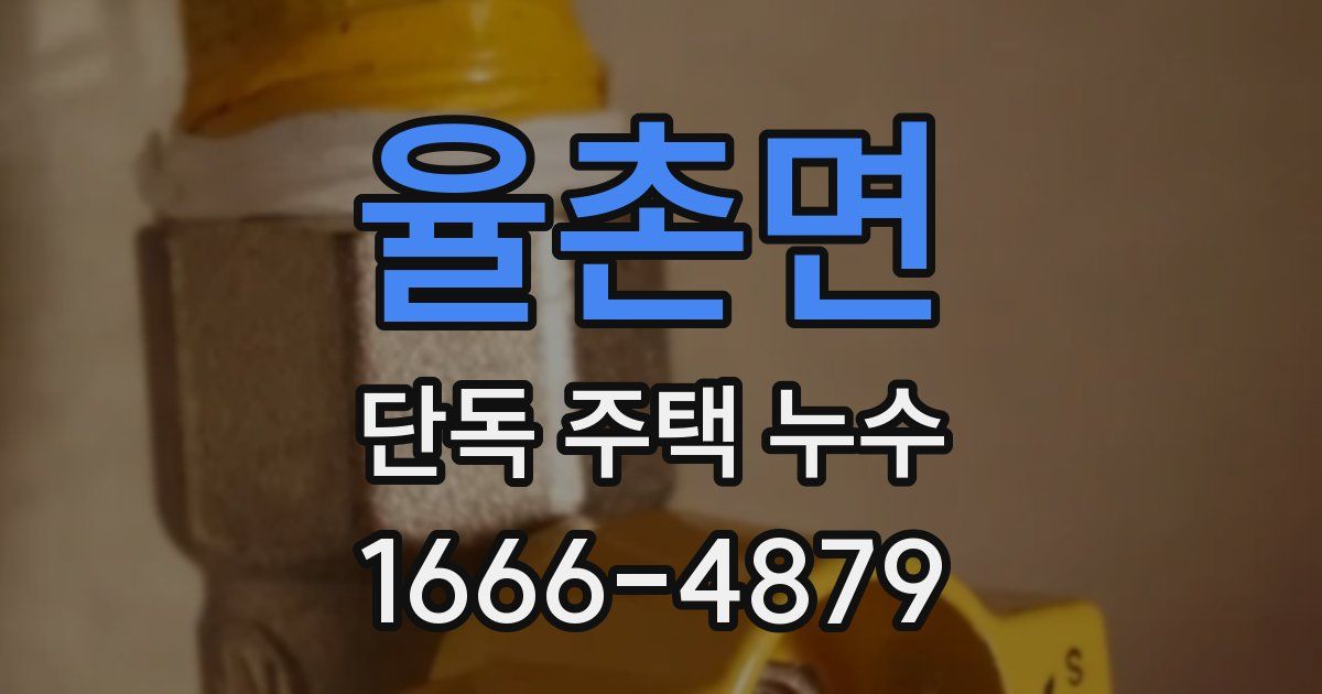 율촌면 단독 주택 누수