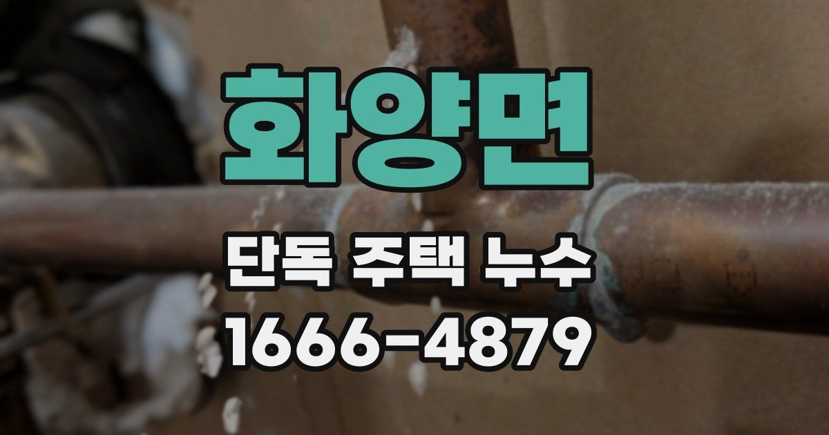 화양면 단독 주택 누수