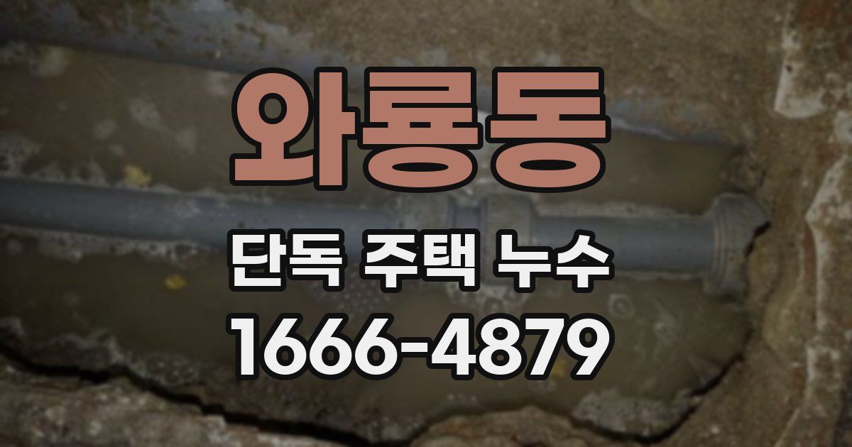 와룡동 단독 주택 누수