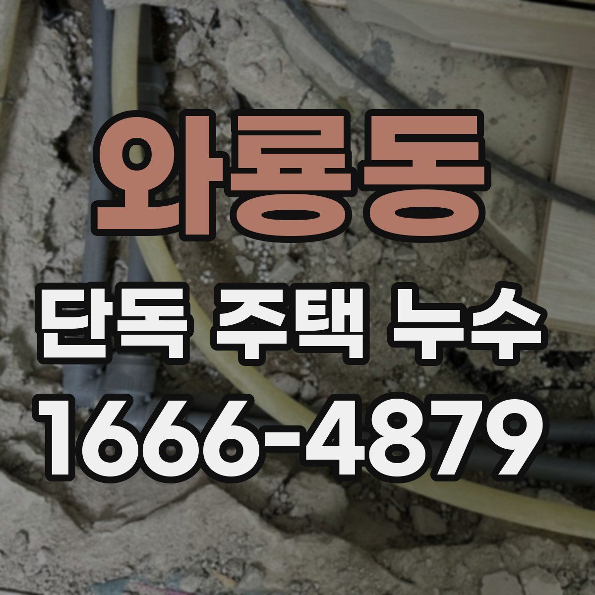 와룡동 단독 주택 누수