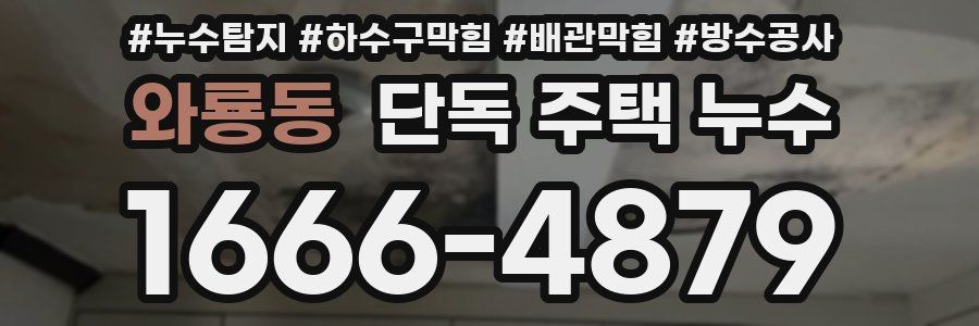 와룡동 단독 주택 누수