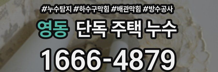 영동 단독 주택 누수