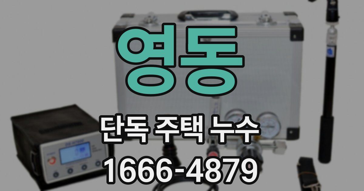 영동 단독 주택 누수