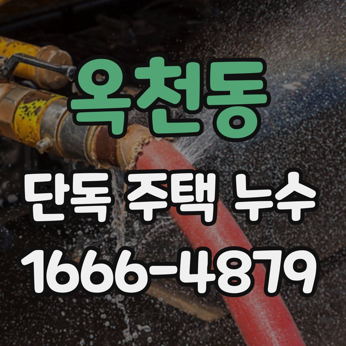 옥천동 단독 주택 누수