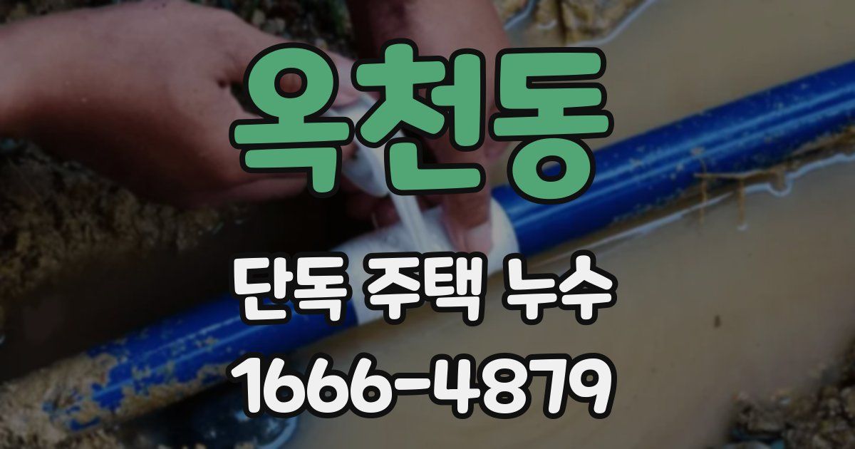 옥천동 단독 주택 누수