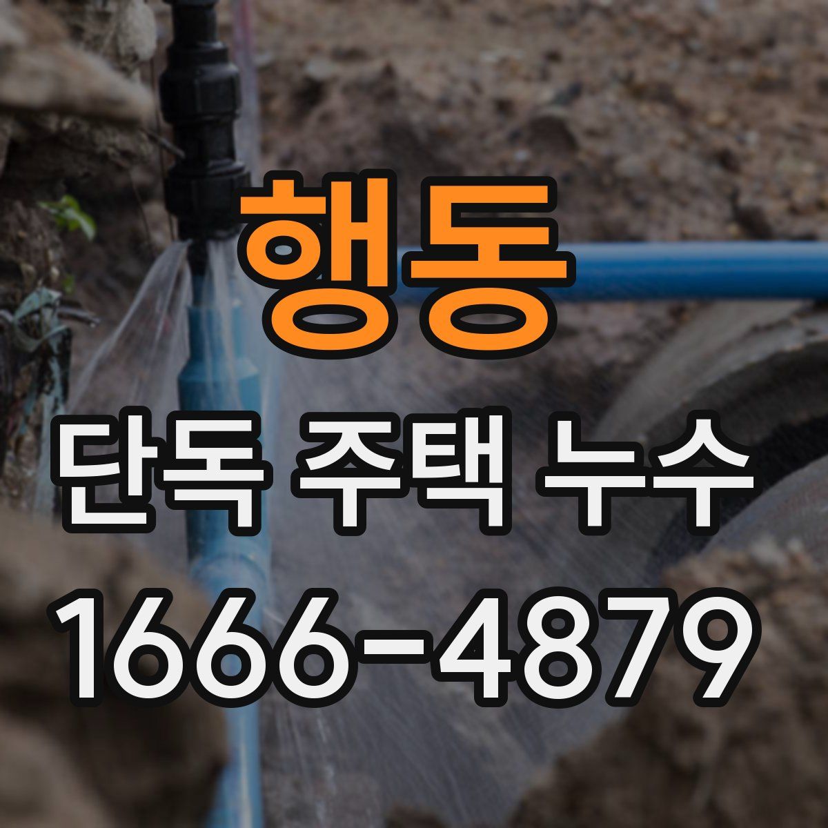 행동 단독 주택 누수