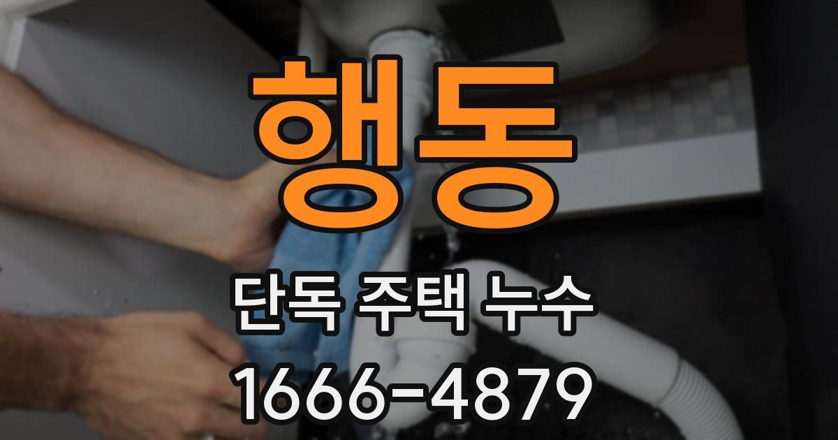 행동 단독 주택 누수
