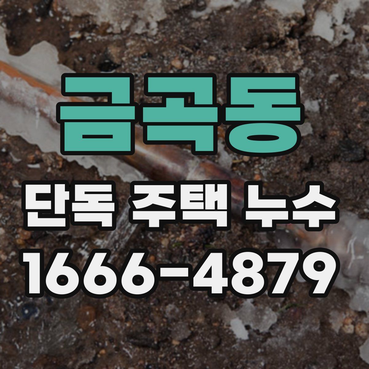 금곡동 단독 주택 누수