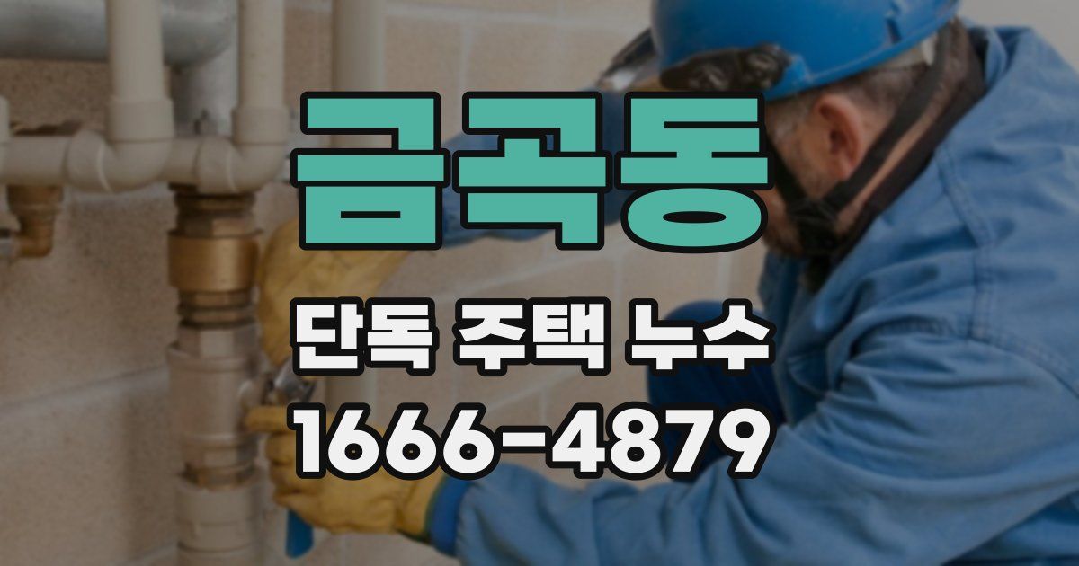 금곡동 단독 주택 누수