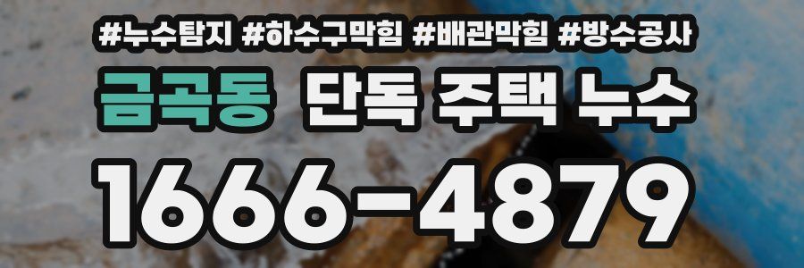 금곡동 단독 주택 누수