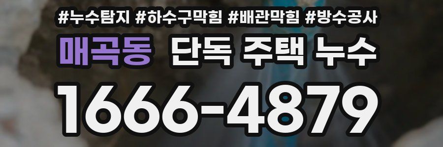 매곡동 단독 주택 누수