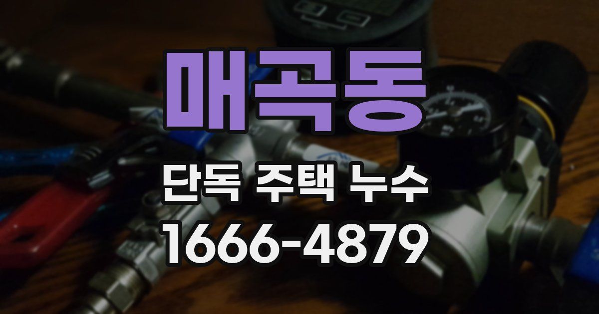 매곡동 단독 주택 누수