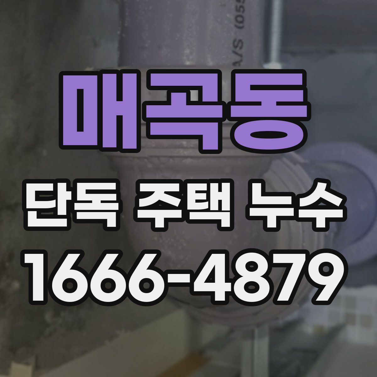 매곡동 단독 주택 누수