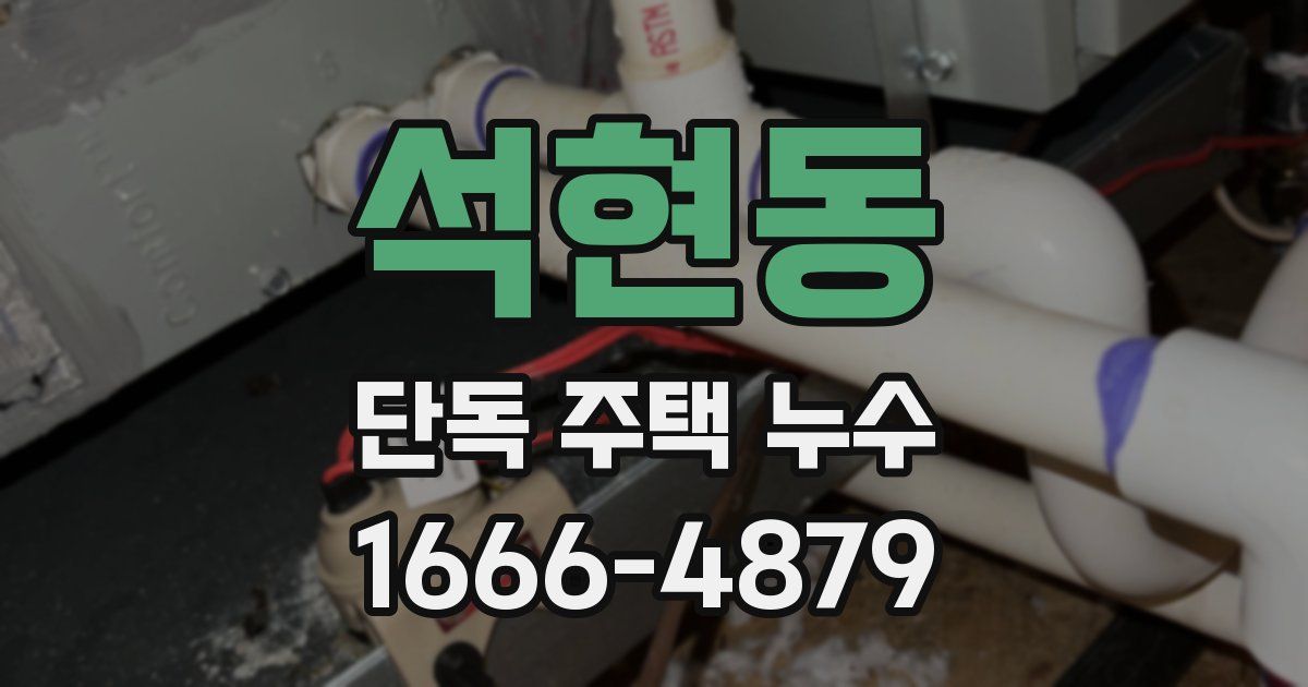 석현동 단독 주택 누수