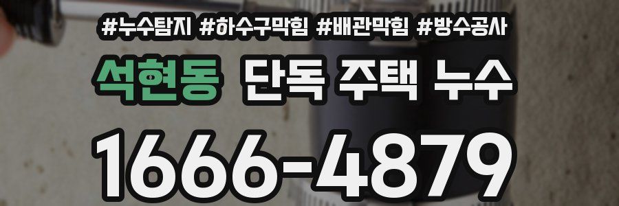 석현동 단독 주택 누수