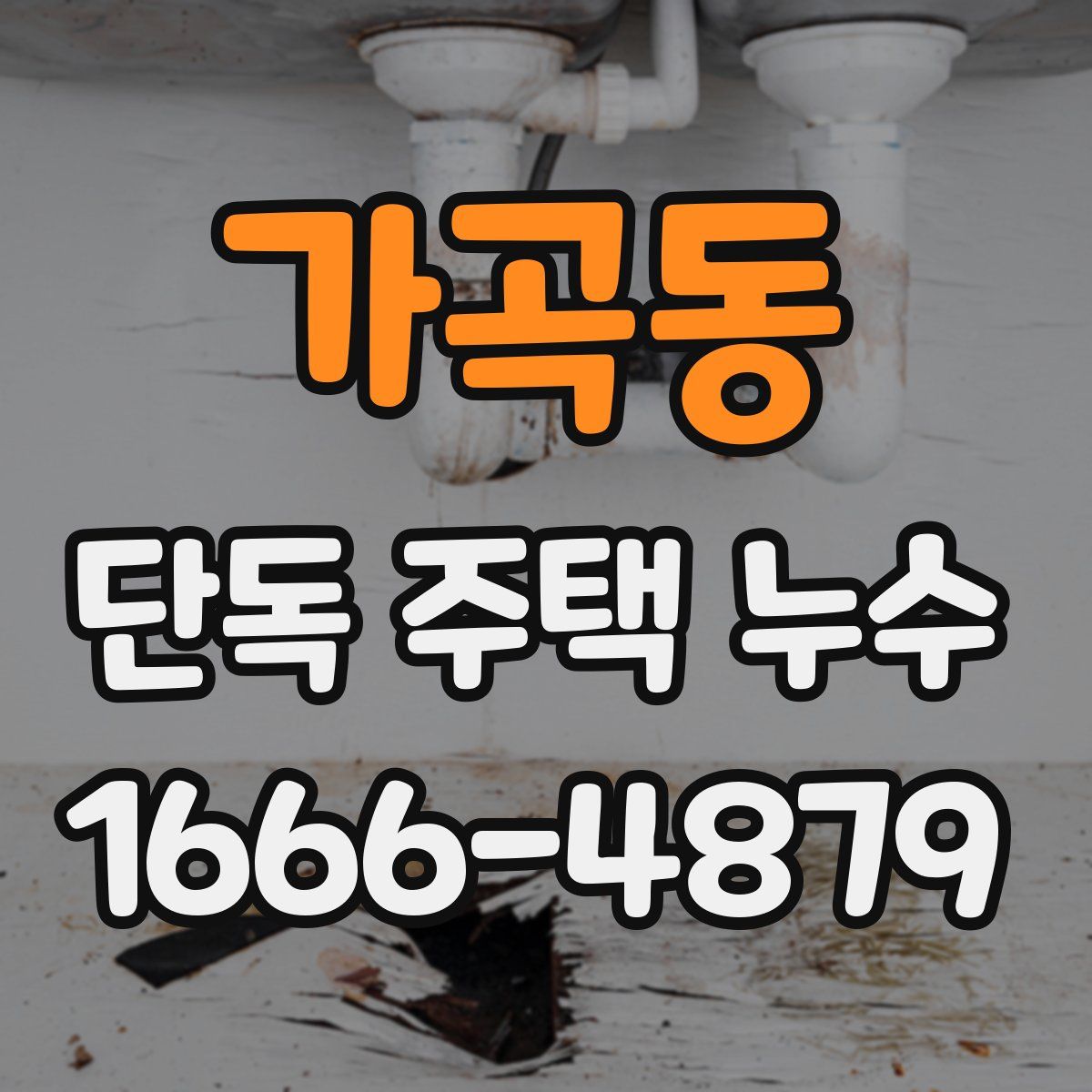 가곡동 단독 주택 누수
