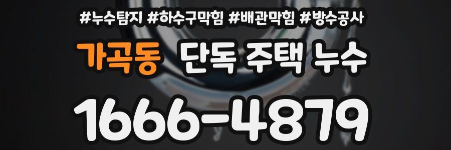 가곡동 단독 주택 누수