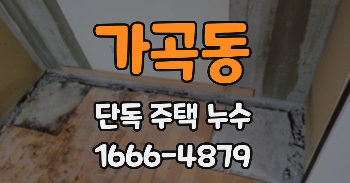 가곡동 단독 주택 누수