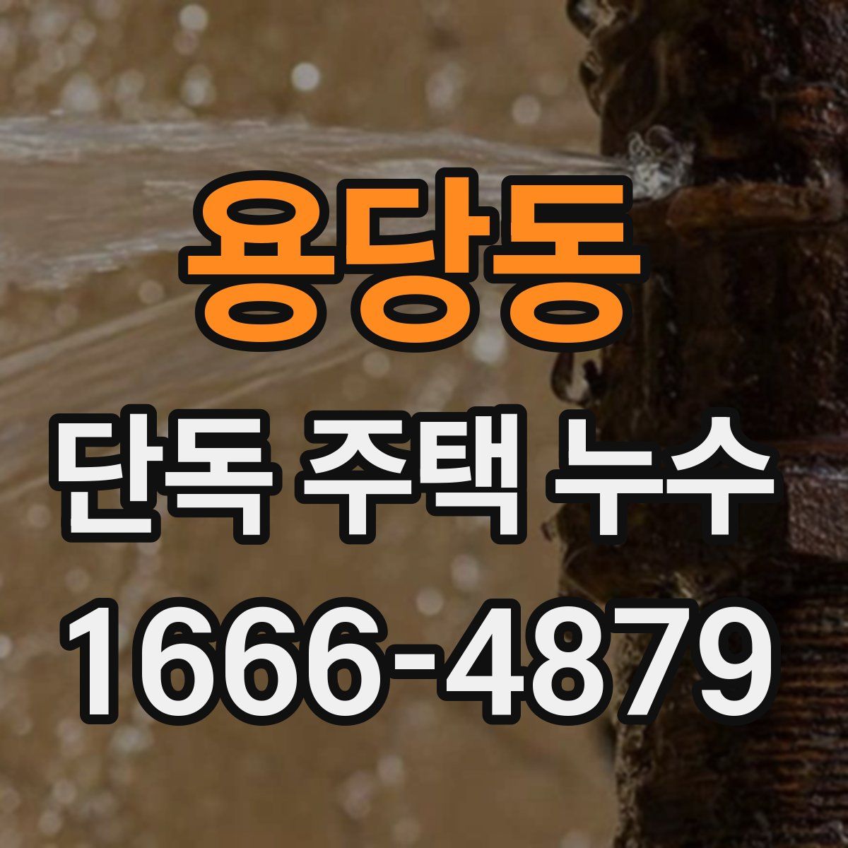 용당동 단독 주택 누수