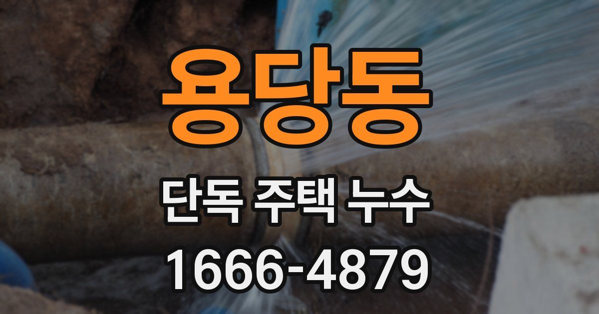 용당동 단독 주택 누수