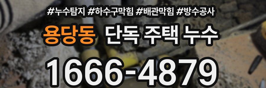 용당동 단독 주택 누수