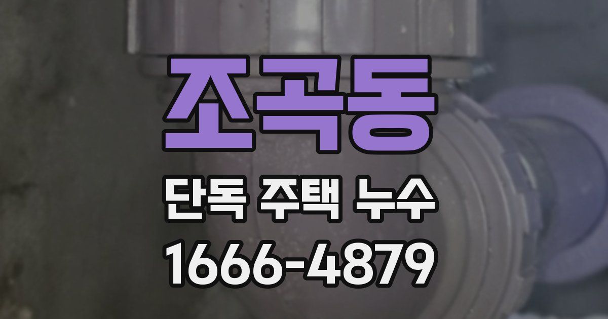 조곡동 단독 주택 누수