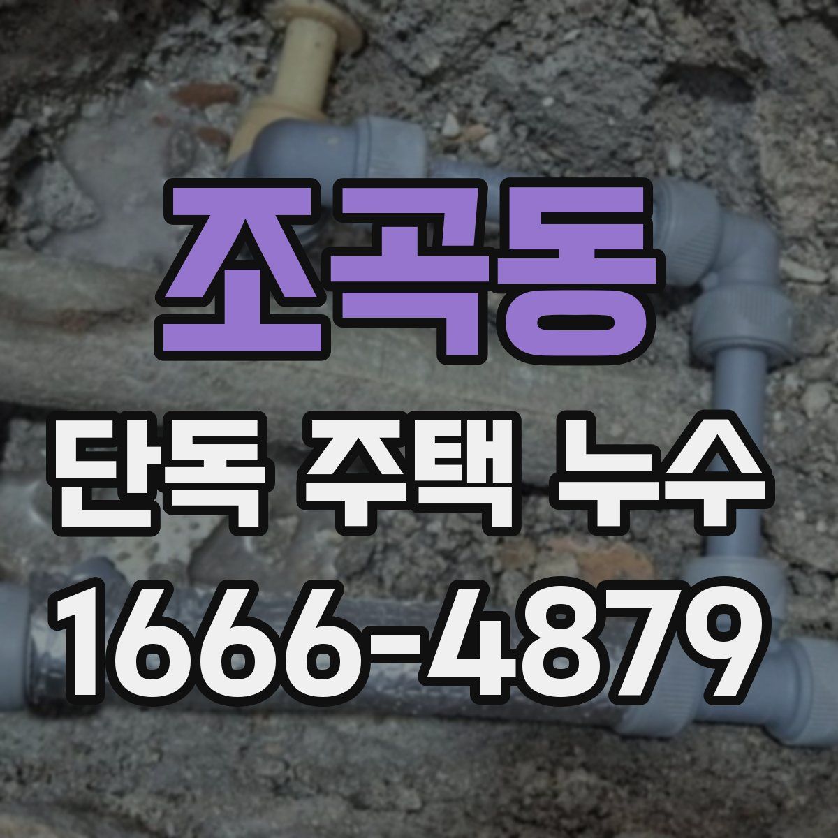 조곡동 단독 주택 누수